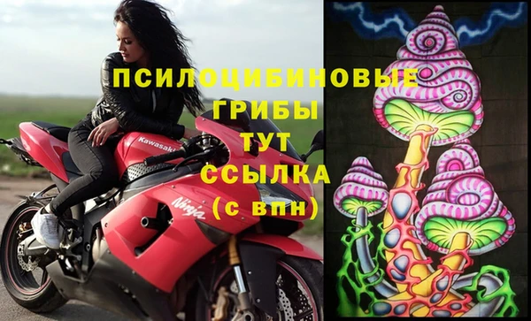 дживик Бугульма