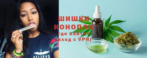 дживик Бугульма