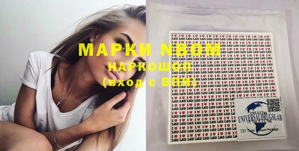 spice Бородино