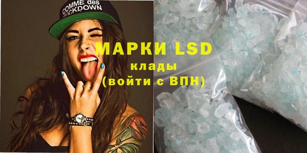 spice Бородино