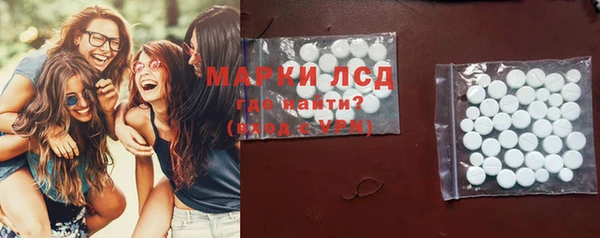 spice Бородино